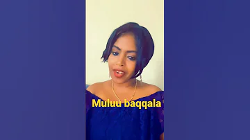 Artist Muluu Baqqala Shorts 