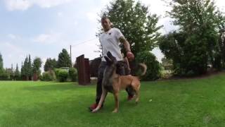 Knut Fuchs - Ein Ganz Normaler Freitag Bei Familie Fuchs