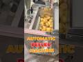 Industrial Automatic Potato & Onion Peeling Machine | Save Time & Labor#automaticmachine