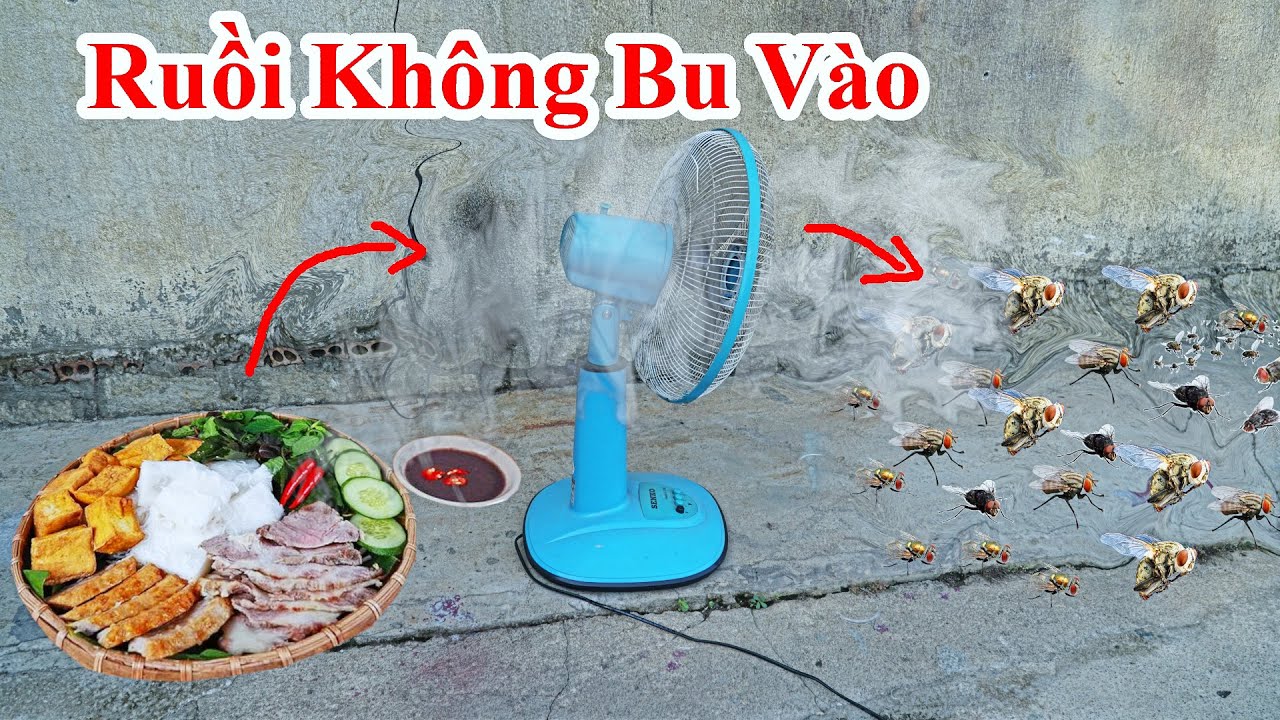 Cách Làm Cho Ruồi Không Dám Bu Tới Bàn Đang Ăn / Cách Đuổi Ruồi Đi Xa Bàn Ăn Cơm . Mẹo Diệt Ruồi