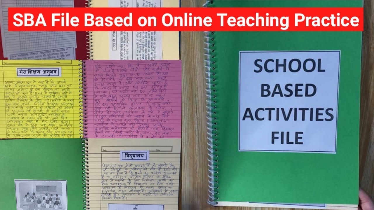 School Based Activity File in Hindi || B.Ed. ||