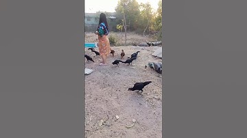 Mau ketawa takut dosa video lucu bikin ngakak hiburan warga 62 #lucu #funny #ngakak #videolucu #meme