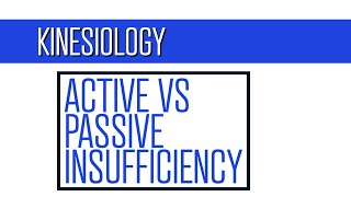 What is Active vs Passive Insufficiency: Must Know Concept for Physical Therapy School