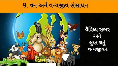 STD 10 Sub Social Science Ch 9 વન અને વન્યજીવ સંસાધન,વૈવિધ્યસભર વન્યજીવન અને લુપ્તથતું વન્યજીવન GSEB