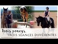 Séances - TROIS PONEYS, TROIS SÉANCES DIFFÉRENTES ! 🐴