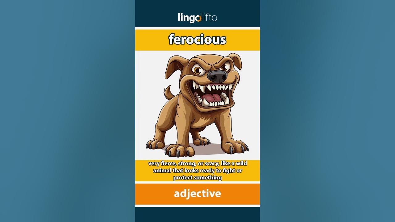 ferocious-meaning-flash-card-learn-english-vocabulary-youtube