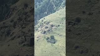 Заброшенное село 🏔️🐎🐅🏍️🦅🚀🔥