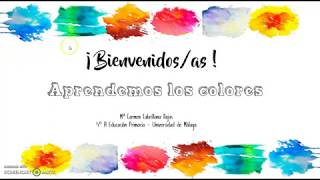 Juego Colores Con Signos Del Sistema De Benson Schaeffer