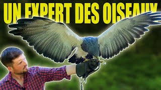 Le quotidien d’un fauconnier expert scientifique by Absol Vidéos 14,770 views 1 year ago 57 minutes