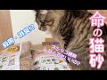 【レビュー】猫トイレの砂を『命の猫砂』に変えてみたら…