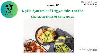 Lipids (Edexcel A/L Biology Unit 01-  Lesson 05)