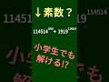 【114514】デカすぎる数の素数判定【1919】