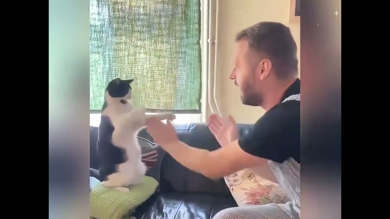 Cute Pet Debut: Discover Your New BFF in Our First Vlog