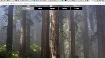 Creating Responsive Website in Adobe Muse CC 2017
