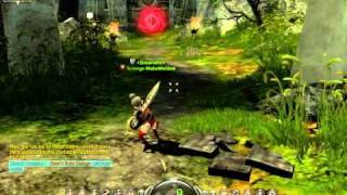 Dragon Nest Female Cleric Mod