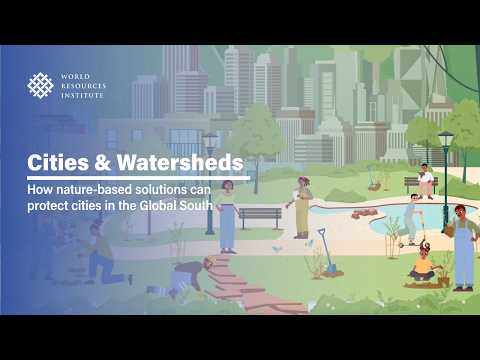 Cities & Watersheds: How nature-based solutions can protect cities in the Global South