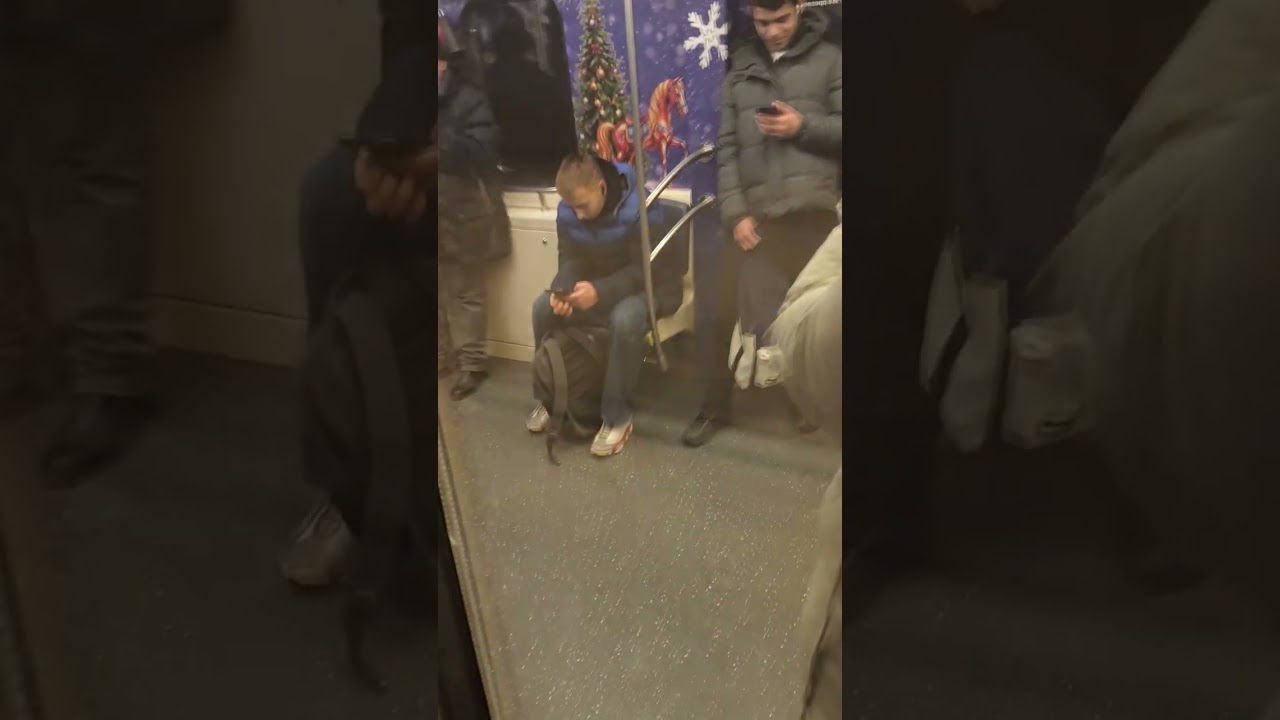 ВАЛЛ-И. Московское метро. Поездка на Новогодней 2026 ЕВЕ Оке от Тёплого Стана до Конькова.🧡