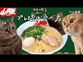 【令和7年最新版】ワイ先生がプレ塩の食べ方を解説するだけの授業【山岡家】#猫ミーム #猫マニ