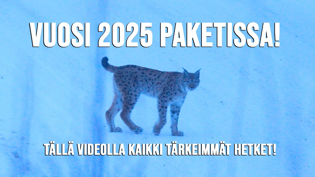 TÄLLAINEN OLI 2025! Kaikki vuoden TÄRKEIMMÄT TAPAHTUMAT koostettuna!