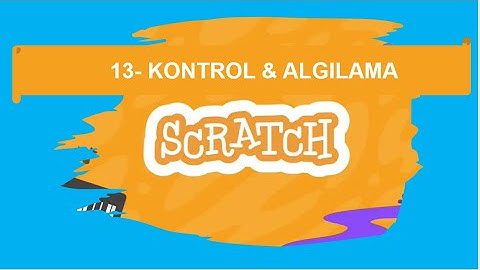 13- Scratch Kontrol ve Algılama Kod Bloklarını Tanıyalım