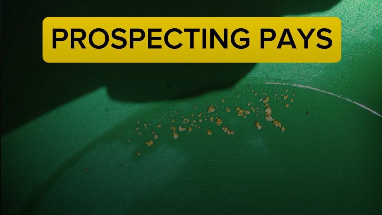 разведка окупается