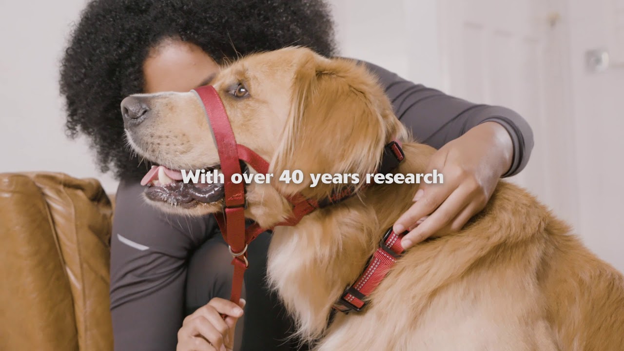 perfect fit double ended lead