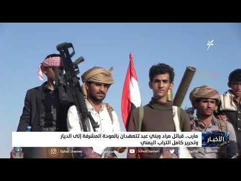 قبائل مراد وبني عبد تتعهدان بالعودة المشرفة إلى الديار وتحرير كامل التراب اليمني