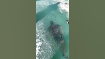 Thumbnail of Man Swim in Extreme Cold Water || WooGlobe