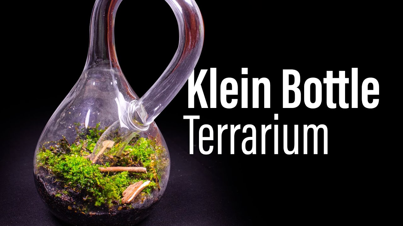 amphibians nedir The First KLEIN BOTTLE Terrarium
