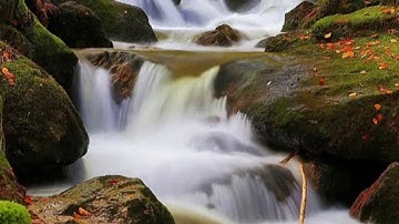 سورة الفلق بصوت الشيخ ناصر القطامي . صوت رائع