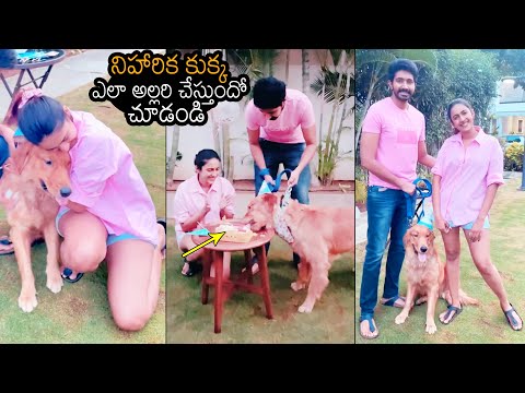 Niharika Konidela Dog Buzz First Birthday Celebrations With Her Husband Chaitanya | News Buzz