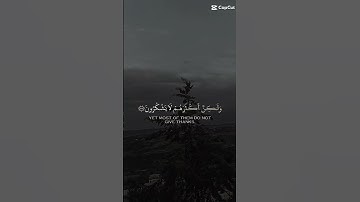 سورة النمل #سورة_النمل #قران_كريم #تلاوة_خاشعة #الحمدلله_دائماً_وابداً #اكسبلور #لايك #دعاء #alquran