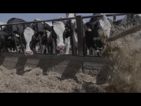 Video: Características de la agricultura de riego