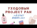 Уходовый Project Pan / 1-й отчет / январь 2021