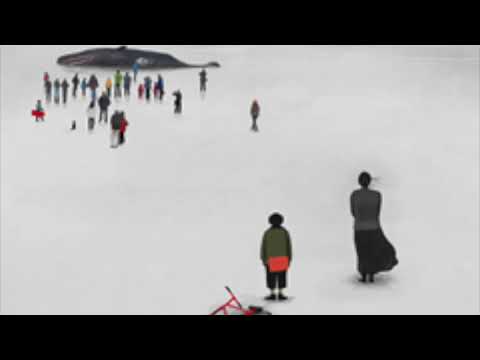 ジーニー/andymori/弾き語り