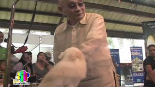 1st Vanity Fur Dog Grooming Championship!