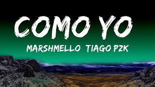 [1HOUR] Marshmello, Tiago PZK - Como Yo :( | The World Of Music