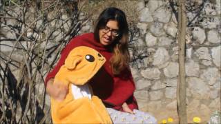 Skippys Adventure At Highway 37