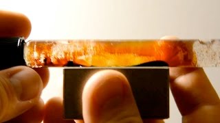 Centrifugal Force-Vortex DEMO & Unique ferrofluid suspension creation