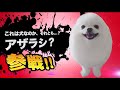 爆笑イッヌ全員参戦!!part12