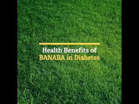 Banaba and Benefits of Banaba for Diabetes: Here are the Amazing Health Benefits of Banaba to Reduce Blood Sugar Levels