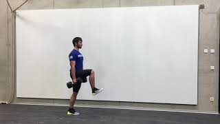 Walking Lunge   High Knee   DB