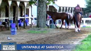 Untapable at Saratoga
