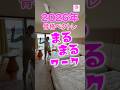 2026年やる気ゼロで変わる！今までで一番怠惰で出来るよ♪まるまるワーク #骨格ベクトレ