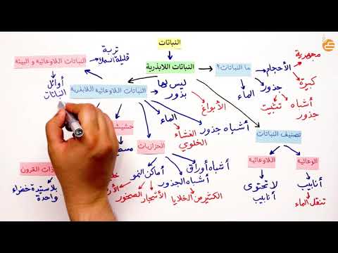 مراجعات عين النباتات ١ النباتات