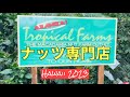 【Hawaii 2023】マカダミアナッツ専門店　Tropical Farms Macadamia Nuts  ハワイ