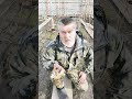 Что делать с однолетним саженцем в первый год его жизни! 🍇🍇🍇Telegram WhatsApp Viber +79528500417.