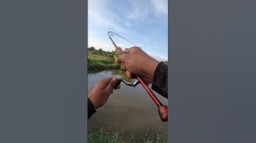 1 cách chơi cá sắt khác #gianglure