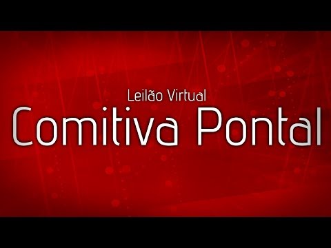 Lote 59   Agnus Pontal VR Copy
