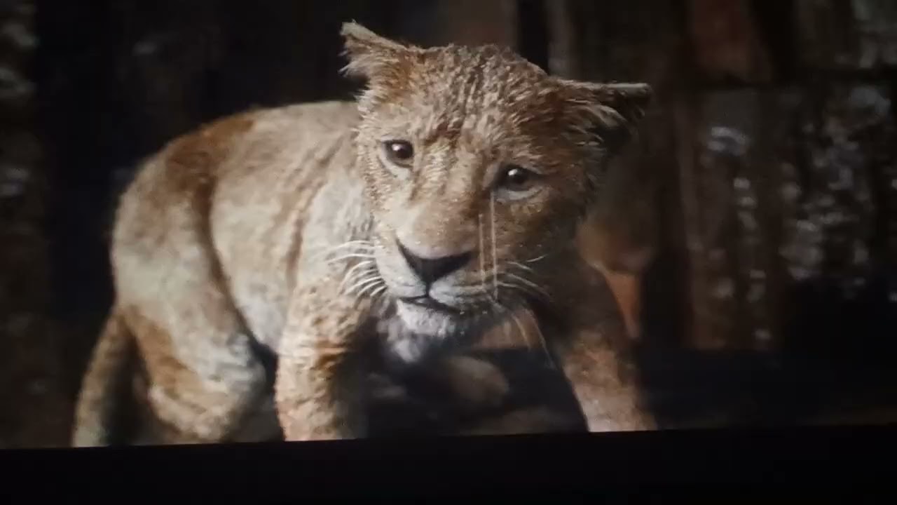 Mufasa The Lion king...